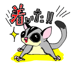 I love Sugar Glider sticker #953683