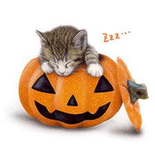 Painting of Kittens sticker #954970