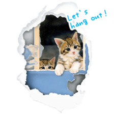 Painting of Kittens sticker #954980