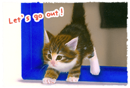 Painting of Kittens sticker #955000