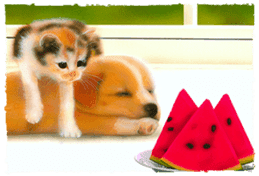 Painting of Kittens sticker #955003