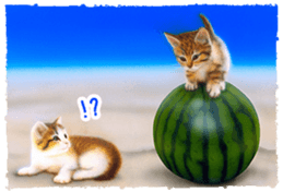 Painting of Kittens sticker #955004