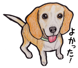 Beagle dog Sticker sticker #955527
