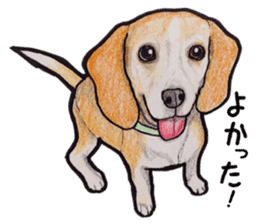 Beagle dog Sticker sticker #955527