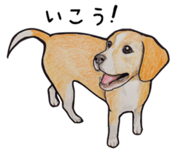 Beagle dog Sticker sticker #955528