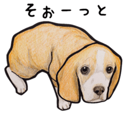 Beagle dog Sticker sticker #955529