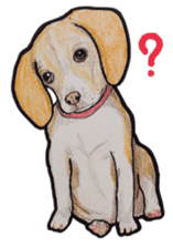 Beagle dog Sticker sticker #955530