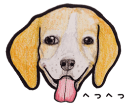 Beagle dog Sticker sticker #955531