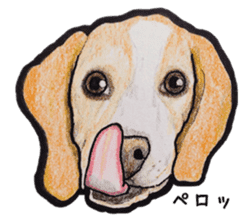 Beagle dog Sticker sticker #955532