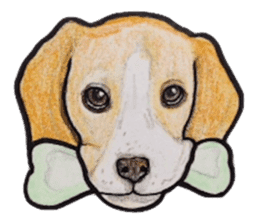 Beagle dog Sticker sticker #955533