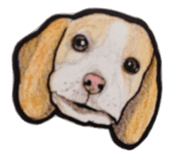 Beagle dog Sticker sticker #955534