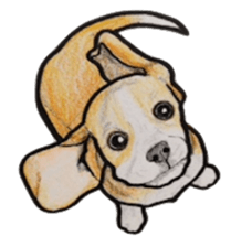 Beagle dog Sticker sticker #955536