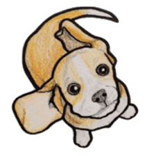 Beagle dog Sticker sticker #955536