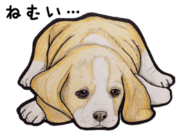 Beagle dog Sticker sticker #955538