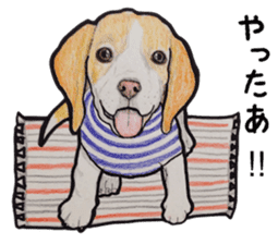 Beagle dog Sticker sticker #955539