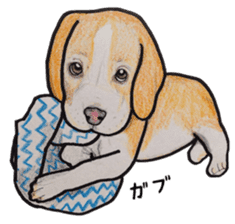 Beagle dog Sticker sticker #955540