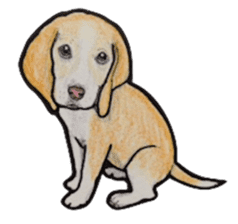 Beagle dog Sticker sticker #955541