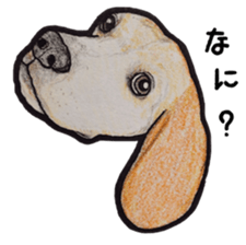 Beagle dog Sticker sticker #955542