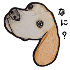 Beagle dog Sticker sticker #955542