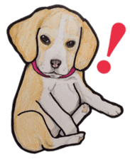Beagle dog Sticker sticker #955544