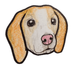 Beagle dog Sticker sticker #955546
