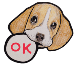 Beagle dog Sticker sticker #955547