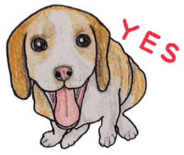 Beagle dog Sticker sticker #955548