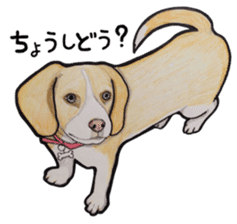 Beagle dog Sticker sticker #955552