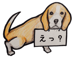 Beagle dog Sticker sticker #955553