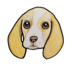 Beagle dog Sticker sticker #955554