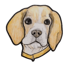 Beagle dog Sticker sticker #955556