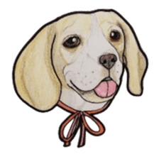 Beagle dog Sticker sticker #955559
