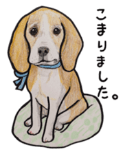Beagle dog Sticker sticker #955560