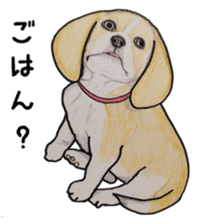 Beagle dog Sticker sticker #955563