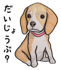 Beagle dog Sticker sticker #955564