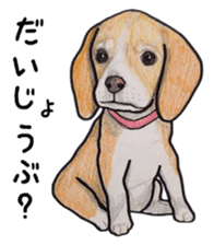 Beagle dog Sticker sticker #955564