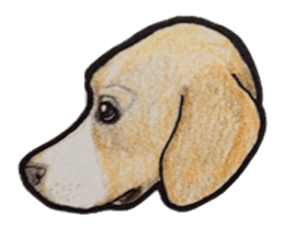 Beagle dog Sticker sticker #955565