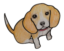 Beagle dog Sticker sticker #955566