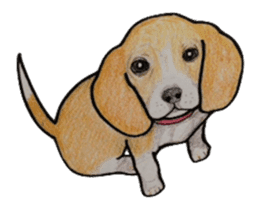 Beagle dog Sticker sticker #955566