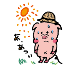Aachikurin