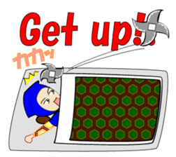 international Ninja. sticker #957168