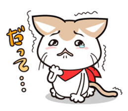 Damnable cat,"iraneko" sticker #957429