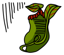 Nepenthes LINE Stickers sticker #958090