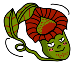 Nepenthes LINE Stickers sticker #958102