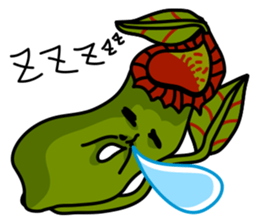 Nepenthes LINE Stickers sticker #958104