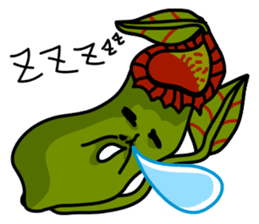 Nepenthes LINE Stickers sticker #958104