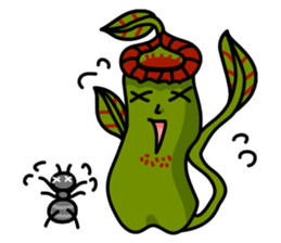 Nepenthes LINE Stickers sticker #958113
