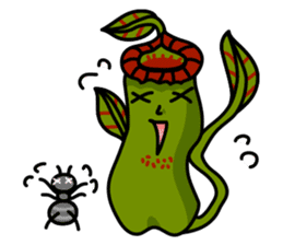 Nepenthes LINE Stickers sticker #958113