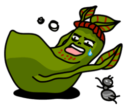 Nepenthes LINE Stickers sticker #958117