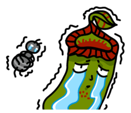 Nepenthes LINE Stickers sticker #958126